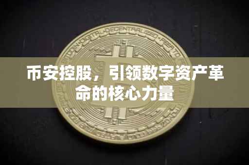 币安控股，引领数字资产革命的核心力量