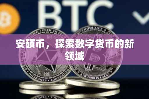 安硕币，探索数字货币的新领域