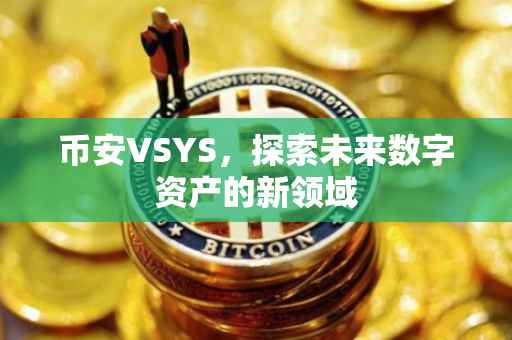 币安VSYS，探索未来数字资产的新领域