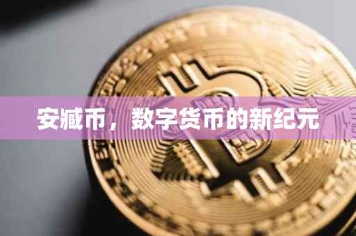 安臧币，数字货币的新纪元