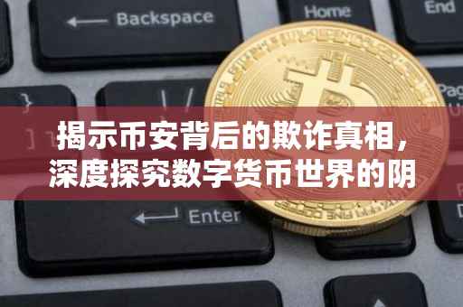 揭示币安背后的欺诈真相，深度探究数字货币世界的阴暗面