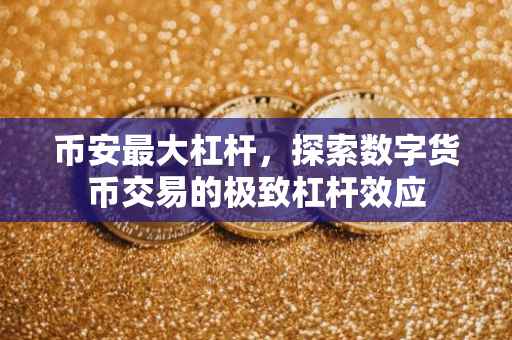 币安最大杠杆，探索数字货币交易的极致杠杆效应