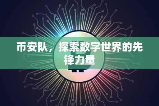 币安队，探索数字世界的先锋力量