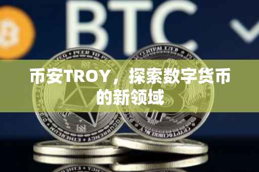 币安TROY，探索数字货币的新领域