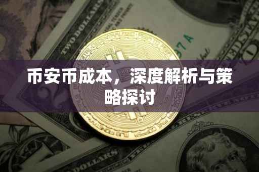 币安币成本，深度解析与策略探讨