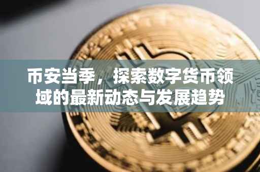 币安当季，探索数字货币领域的最新动态与发展趋势