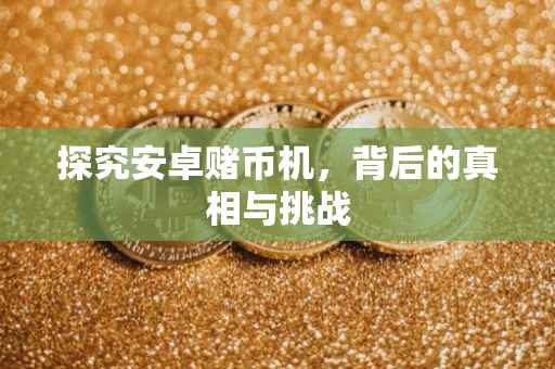 探究安卓赌币机，背后的真相与挑战