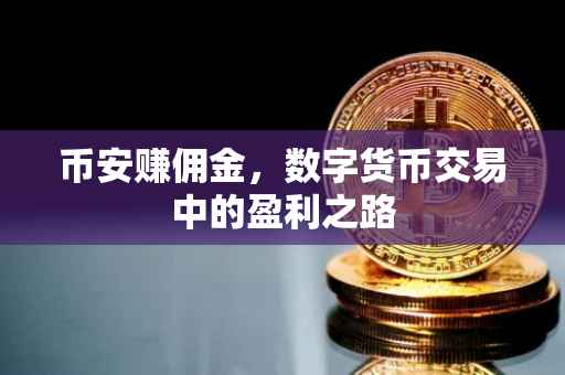 币安赚佣金，数字货币交易中的盈利之路