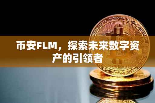 币安FLM，探索未来数字资产的引领者