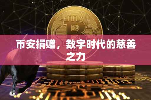 币安捐赠，数字时代的慈善之力