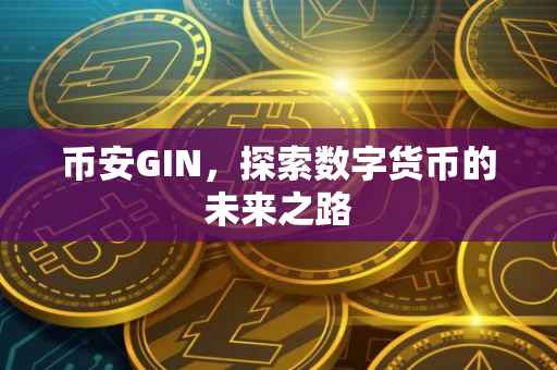 币安GIN，探索数字货币的未来之路
