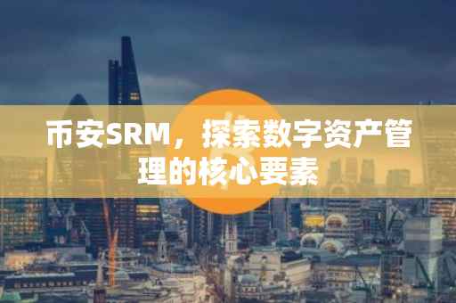 币安SRM，探索数字资产管理的核心要素