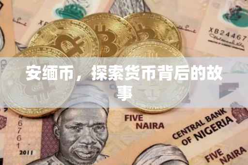 安缅币，探索货币背后的故事