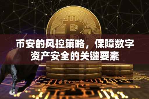 币安的风控策略，保障数字资产安全的关键要素