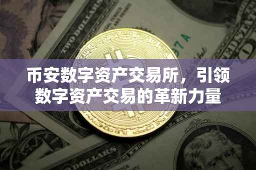 币安数字资产交易所，引领数字资产交易的革新力量