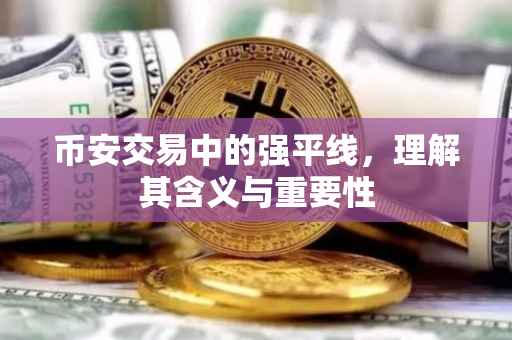币安交易中的强平线，理解其含义与重要性