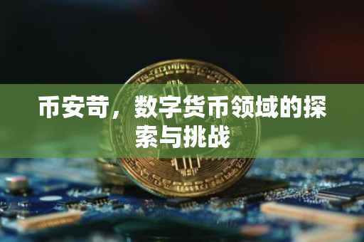 币安苛，数字货币领域的探索与挑战