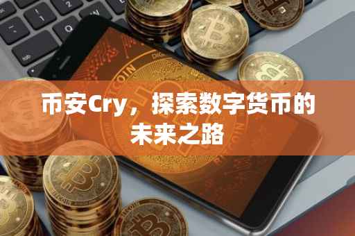 币安Cry，探索数字货币的未来之路