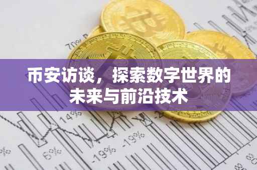 币安访谈，探索数字世界的未来与前沿技术