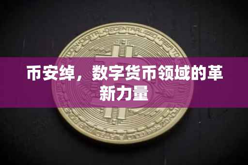 币安绰，数字货币领域的革新力量