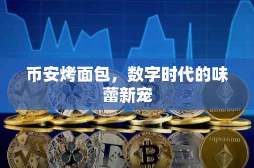 币安烤面包，数字时代的味蕾新宠