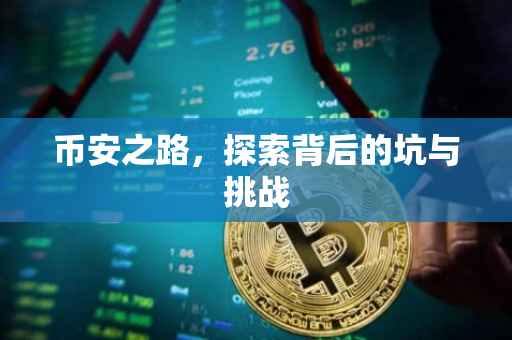 币安之路，探索背后的坑与挑战