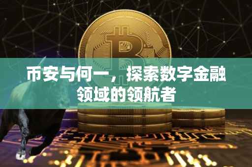 币安与何一，探索数字金融领域的领航者