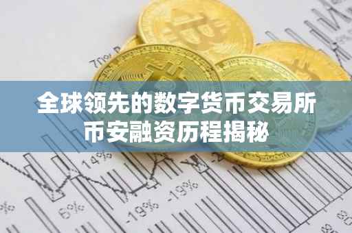 全球领先的数字货币交易所币安融资历程揭秘