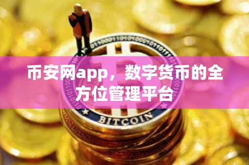 币安网app，数字货币的全方位管理平台