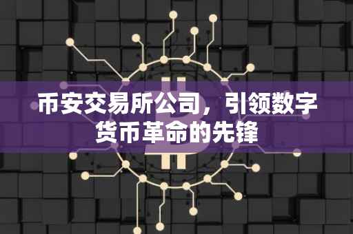 币安交易所公司，引领数字货币革命的先锋