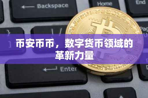 币安币币，数字货币领域的革新力量