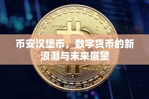 币安汉堡币，数字货币的新浪潮与未来展望