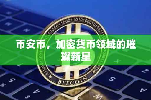 币安币，加密货币领域的璀璨新星