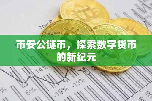 币安公链币,探索数字货币的新纪元