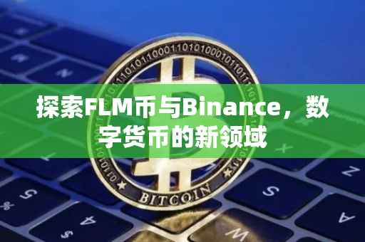 探索FLM币与Binance,数字货币的新领域