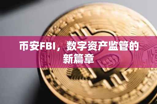 币安FBI，数字资产监管的新篇章