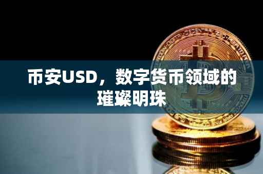 币安USD，数字货币领域的璀璨明珠
