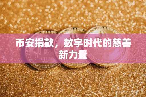 币安捐款，数字时代的慈善新力量