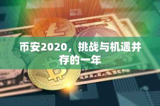 币安2020，挑战与机遇并存的一年
