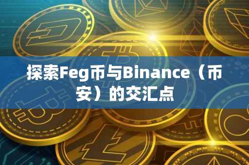 探索Feg币与Binance（币安）的交汇点
