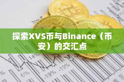 探索XVS币与Binance（币安）的交汇点