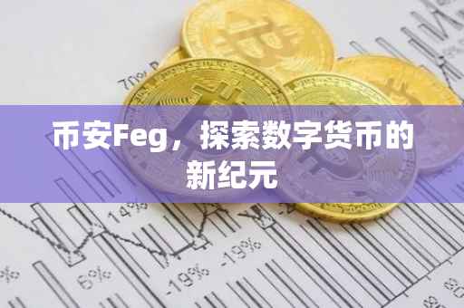 币安Feg,探索数字货币的新纪元