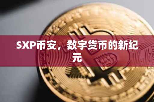SXP币安，数字货币的新纪元