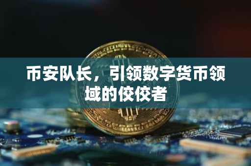 币安队长，引领数字货币领域的佼佼者