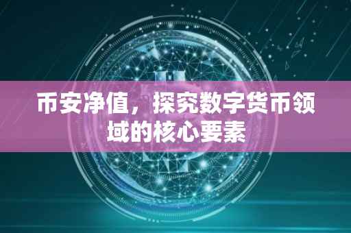 币安净值，探究数字货币领域的核心要素