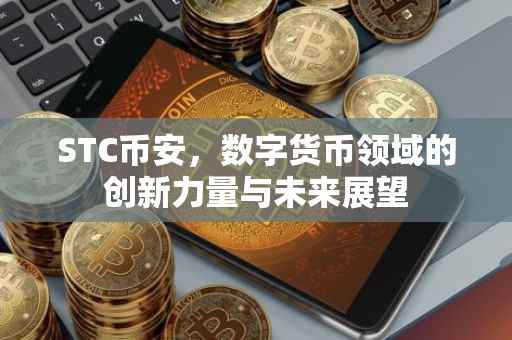STC币安，数字货币领域的创新力量与未来展望