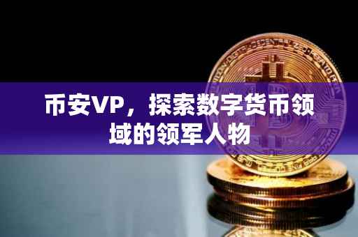 币安VP，探索数字货币领域的领军人物