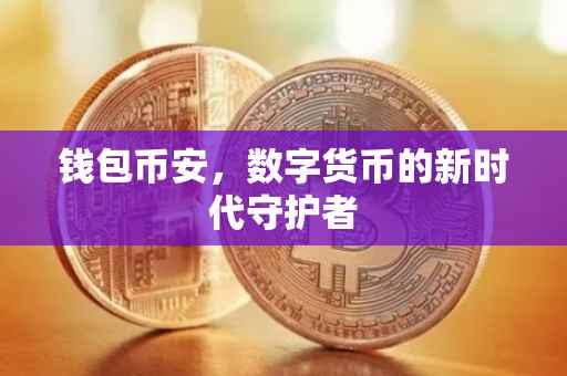 钱包币安，数字货币的新时代守护者