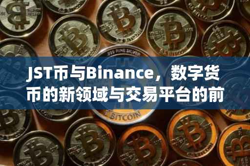 JST币与Binance，数字货币的新领域与交易平台的前沿