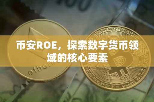 币安ROE，探索数字货币领域的核心要素